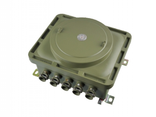 Best Price on D2g4 Explosion Proof - BJX sries Explosion proof connection box – Feice detail pictures